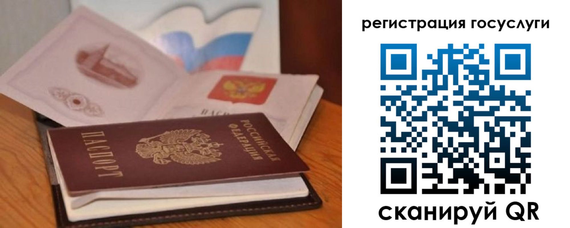 прописка законно в Дрезне